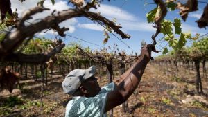 Ecosystem of injustice: The hidden system that keeps rural South Africa unequal