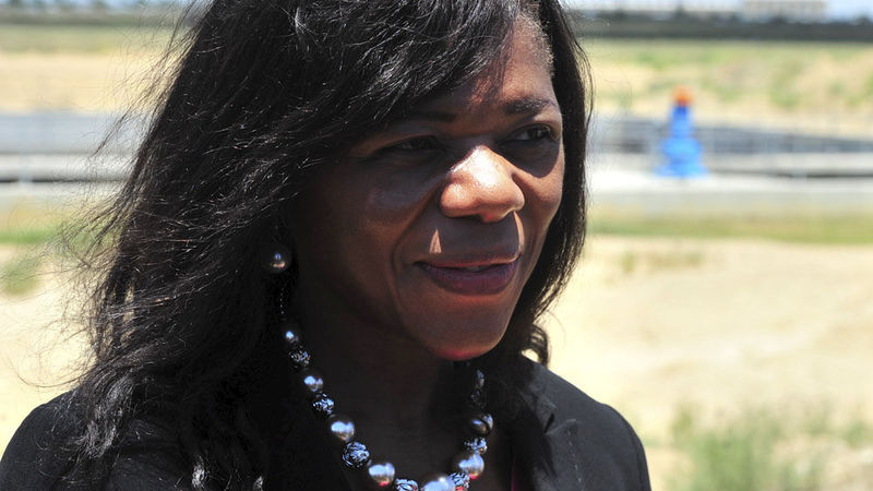 Not the Nkandla news: Madonsela backs teacher who took on the state
