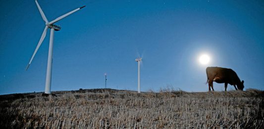 Is Carbon Tax The Key?