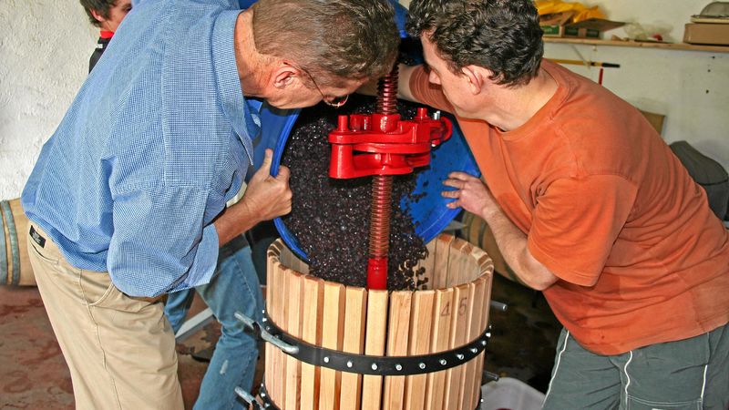 The Parks Winery: Home Brew