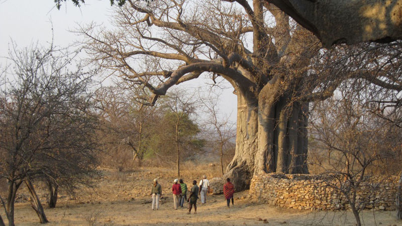 Land Restitution Helps Conserve The Kruger