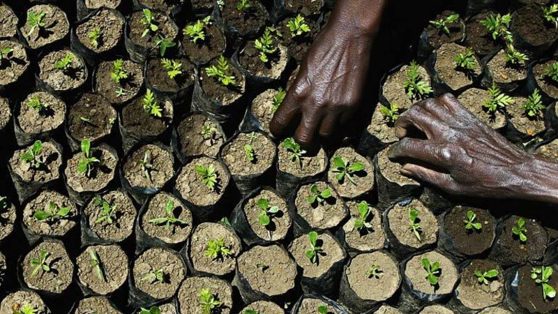 Climate changing faster than animals evolve