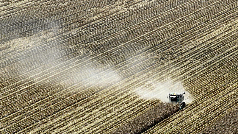 SA’s agricultural export growth cools slightly in second quarter of 2024