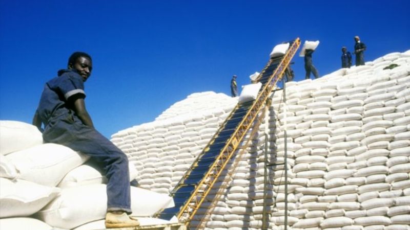 Zim Hands Out Zambian Grain To Stave Off Starvation