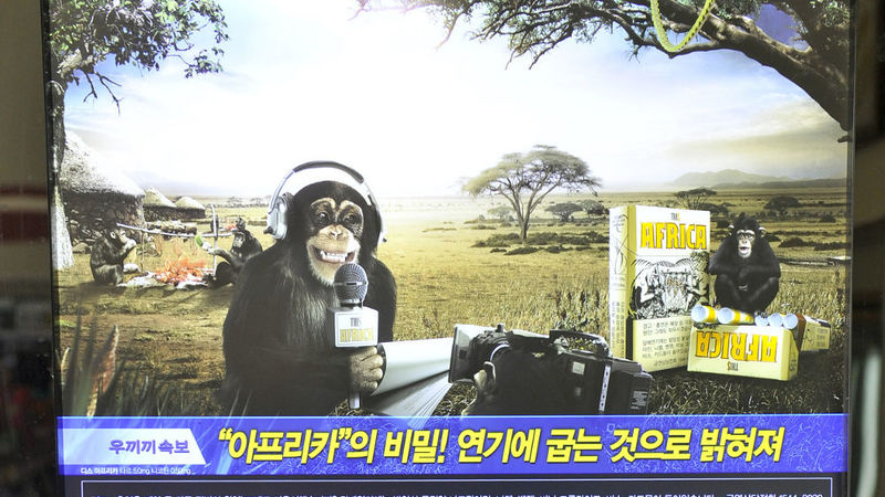 S Korean Tobacco Firm Pulls 'racist' Ads