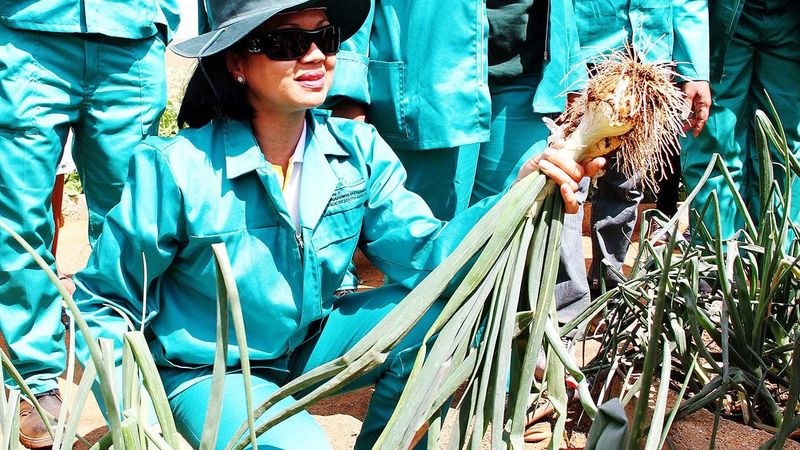 Sustainable food systems