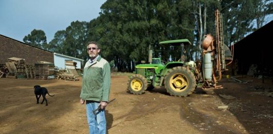 Coal Comfort On The Edge Of Despair