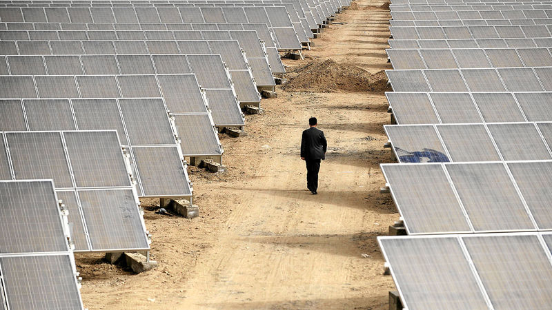 Mzansi turns over a renewable leaf