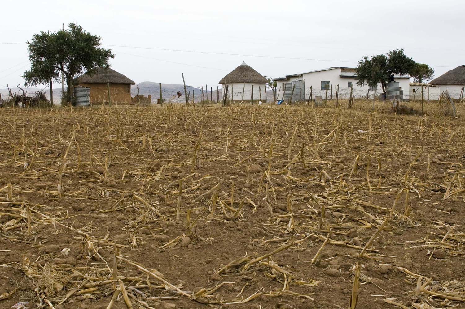 South Africa’s major climate threats — from drought to deadly heatwaves