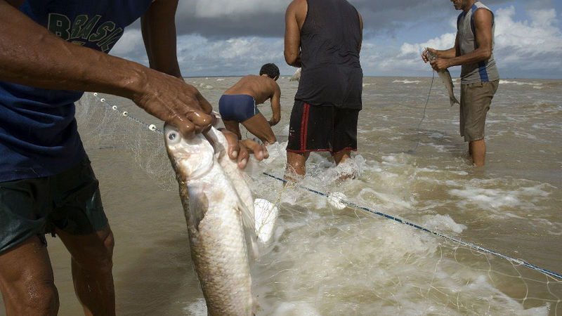 Department's Fishing Scoresheets Illegal, Says Expert