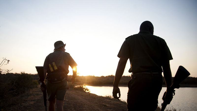 Kruger Park toxic spill under control and investigation