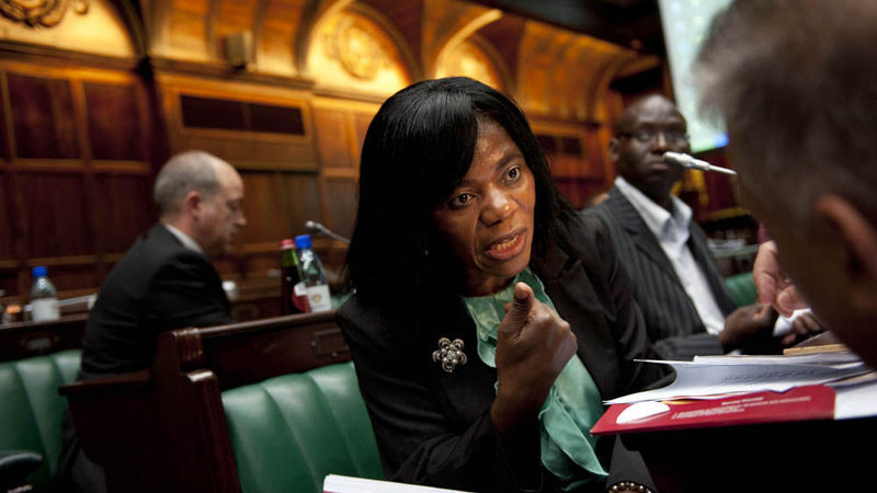 Will Madonsela press the Big Red Button after ANC remarks?