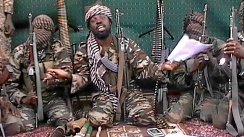 US to support Cameroon in Boko Haram fight