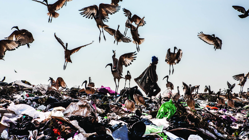 Wake Up, This Is Jo’burg: Rubbish Fuels Their Daily Grind