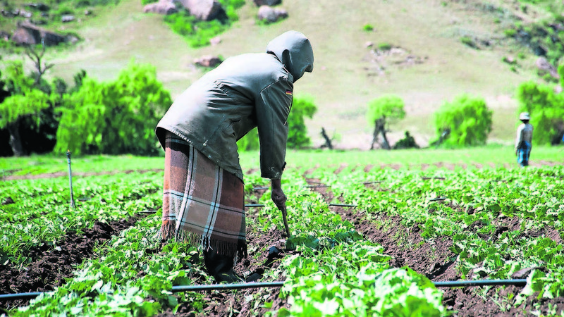 Land Redistribution To Speed Up