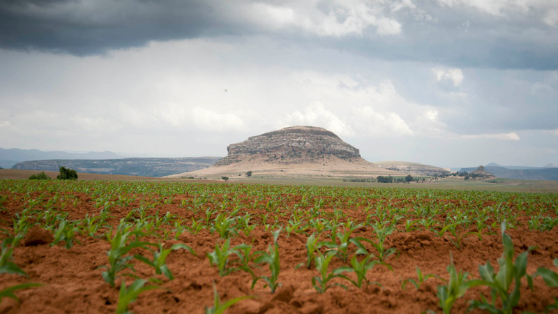 Agri Sa Wants Market Value For Expropriated Land