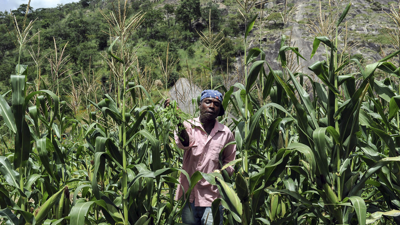 Zim's White Farmers Brace Themselves For More Land Grabs