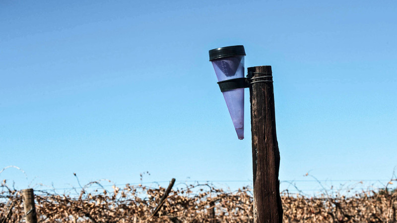 Cry the parched country