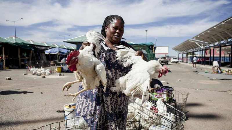 Sowetans Like Their Chicken Fresh And Local