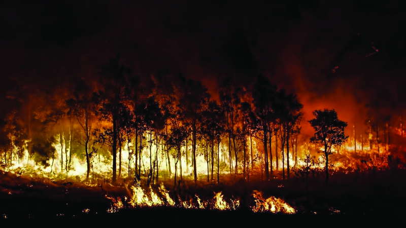 Prospero's Lessons: How To Survive Massive Environmental Change