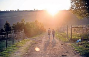 R700 million for a conversation? Rather spend it on small business grants, classrooms, bursaries or clinics