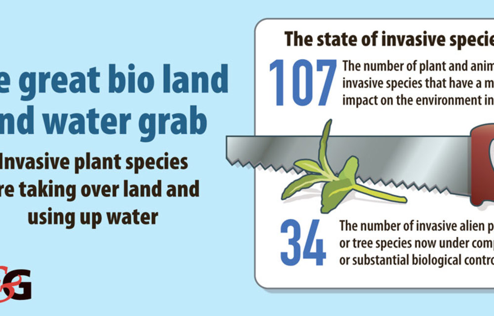 R6.5-billion lost to alien invaders