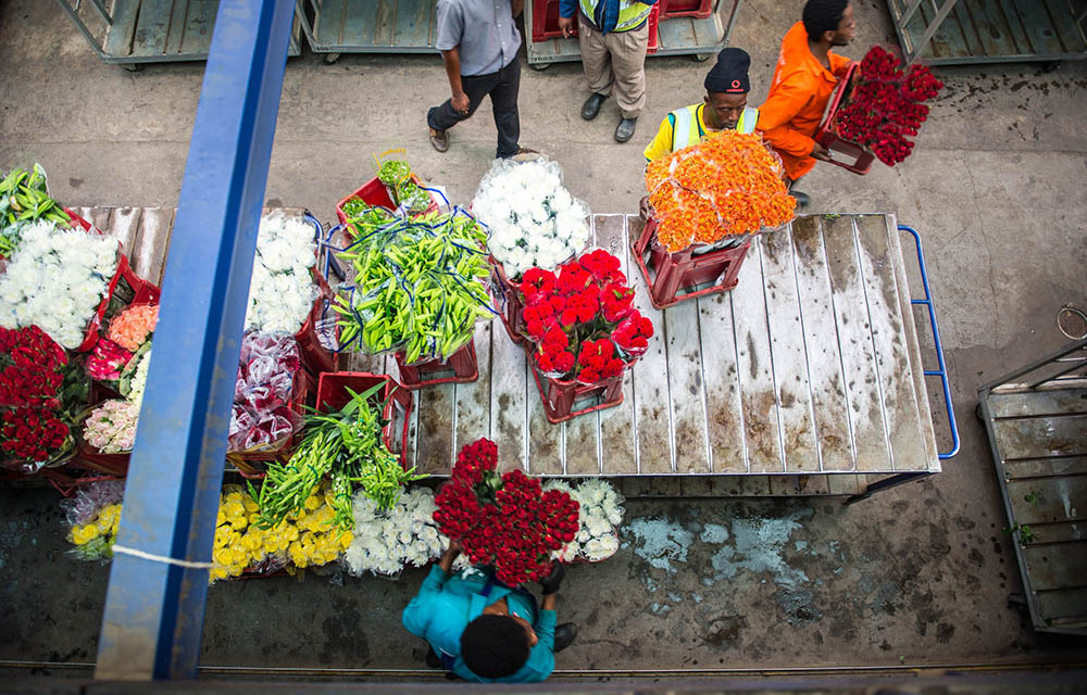 Employees prepare for a flower auction at the Multiflora flower market in Jeppe