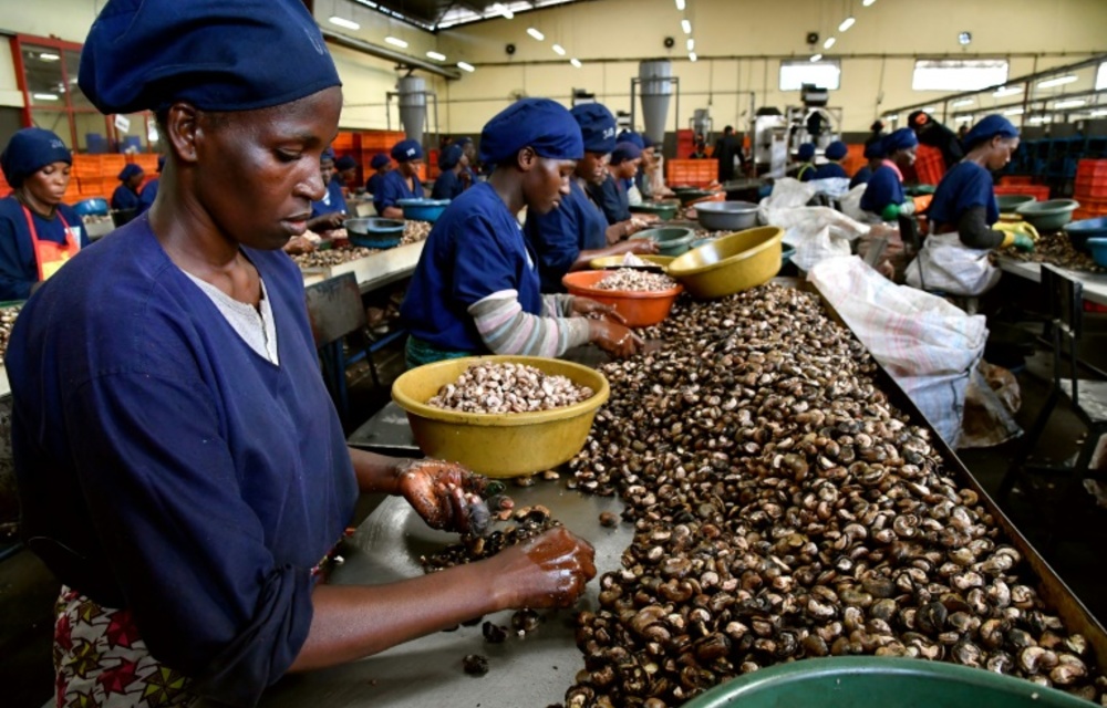 Public-private partnerships are key for Africa’s cocoa farmers