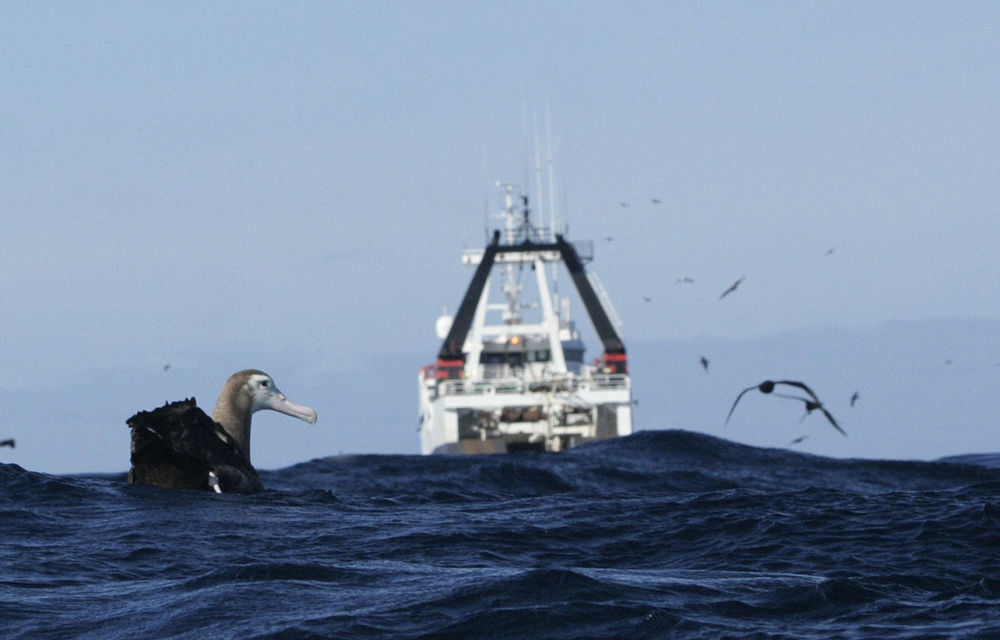 SA’s hake trawlers land a big catch