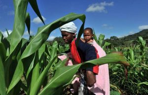 A new generation of girls is fighting forced marriage in South Africa
