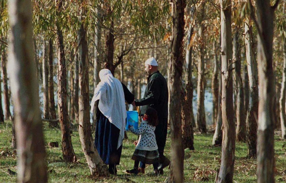 A family walks in search of wild mushrooms in a forest planted by the Jewish National Fund.