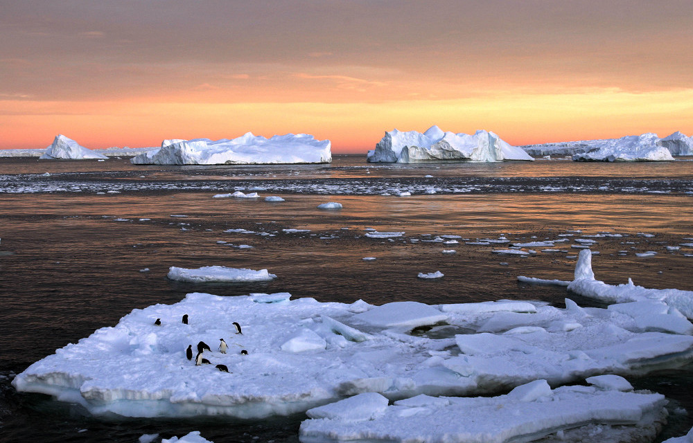 Meltdown: Arctic and Antarctic ice has ‘shrunk’ by the size of three South Africas.