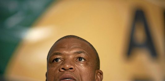 Supra Mahumapelo's son allegedly received a bursary to go to an aviation school from Denel CEO Zwelakhe Ntshepe