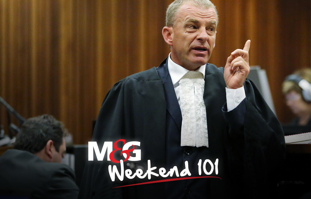 Weekend 101: Nel the bulldog strikes