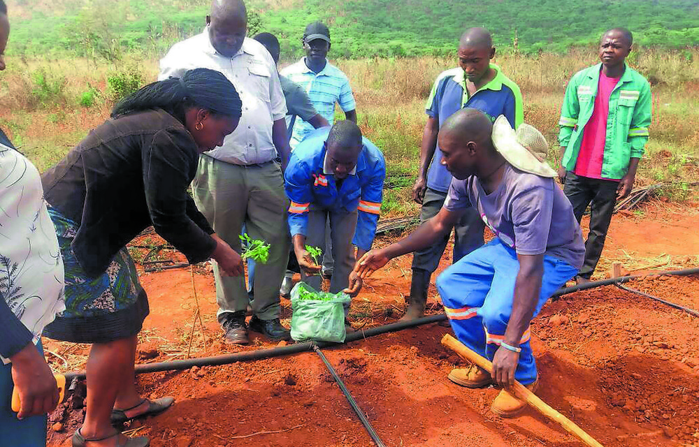 Schweppes Holding Africa trains small-scale farmers in Zimbabwe