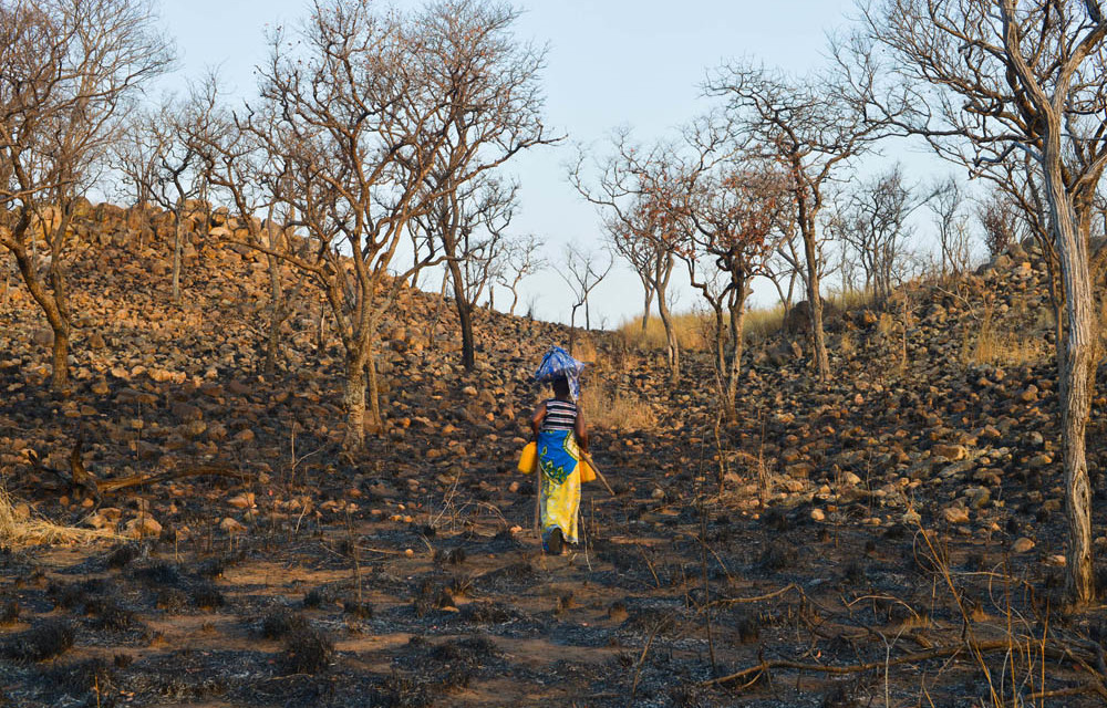 The land provided to Senolia S* on her resettlement to Cateme was reclaimed by its original cultivators. She rented a plot of rocky