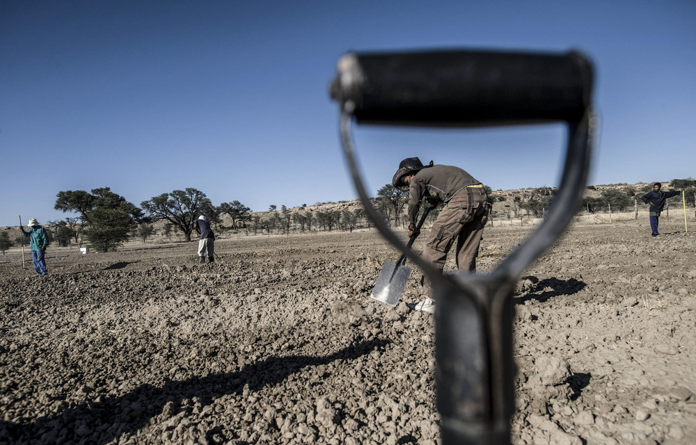 Land expropriation without compensation? On these conditions