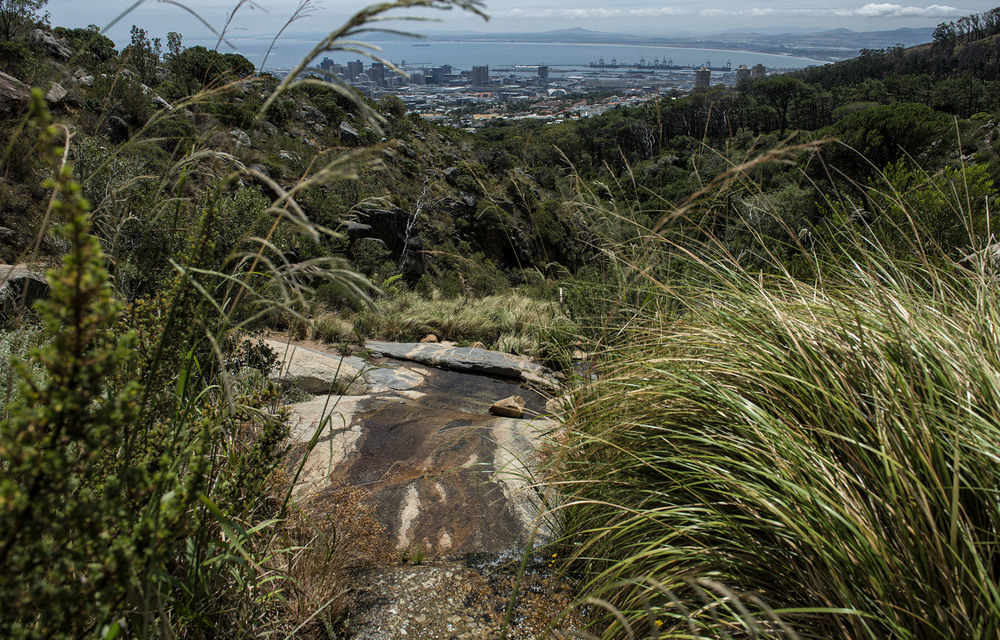 Misleading: Caron von Zeil’s desire to restore Table Mountain’s Camissa springs is good from a historical perspective but it won’t solve Cape Town’s water crisis