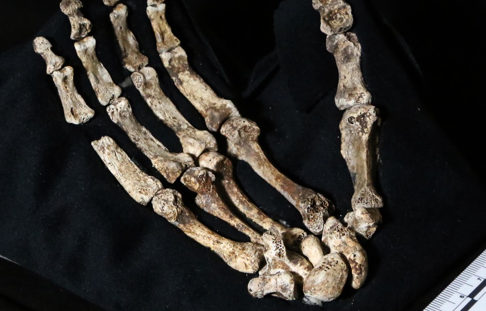 Professor Lee Berger introduces us to Homo naledi