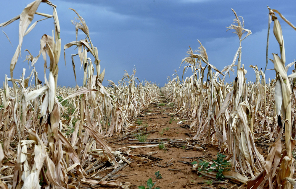 formulate the hypothesis of drought in south africa