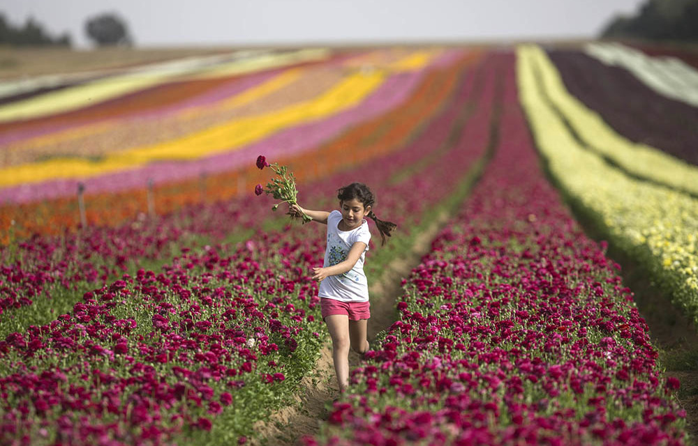 Nearly one in six Israelis have close family ties to Africa.