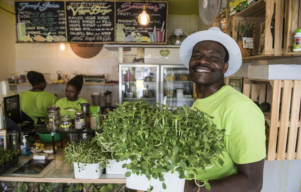 Elisha Madzivadondo grows microgreens and sprouts in a small urban garden in Cape Town.