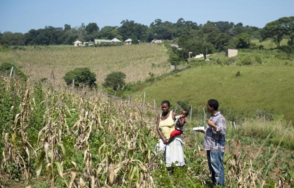 Eastern Cape: Tales from a fractured province