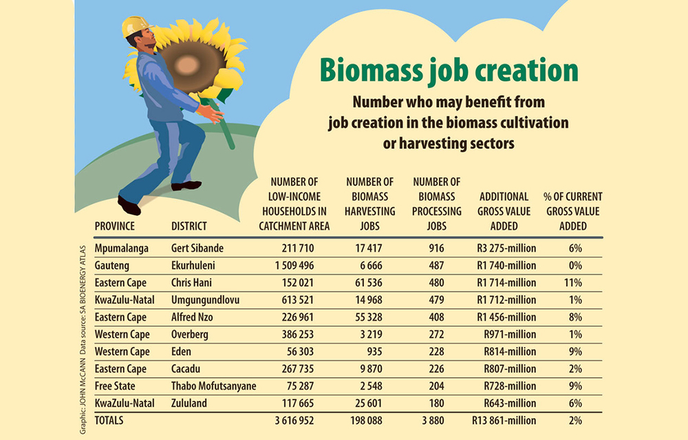 Populations will benefit from seasonal job creation in the biomass cultivation and harvesting sectors.