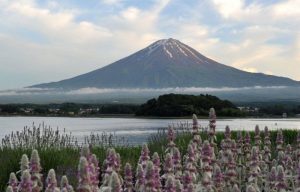 Africa-Japan: Reflections on Tokyo International Conference on African Development