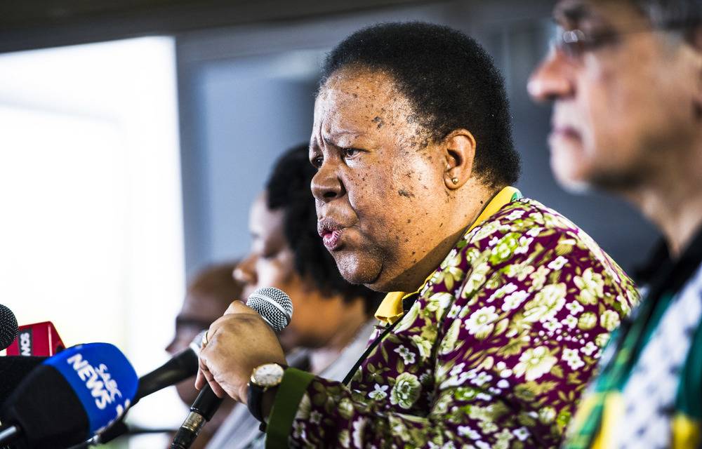 There is a very strong call on a need to re-look at the curriculum structure— Pandor