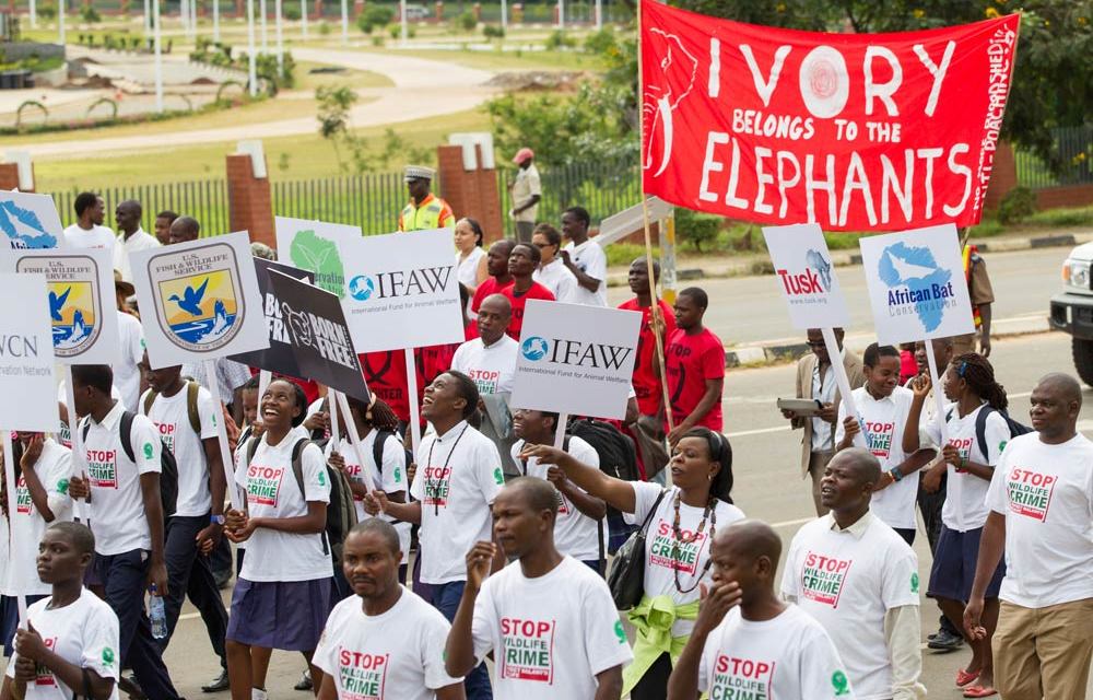 Calling bright young conservationists: Apply for the Youth Forum for People and Wildlife