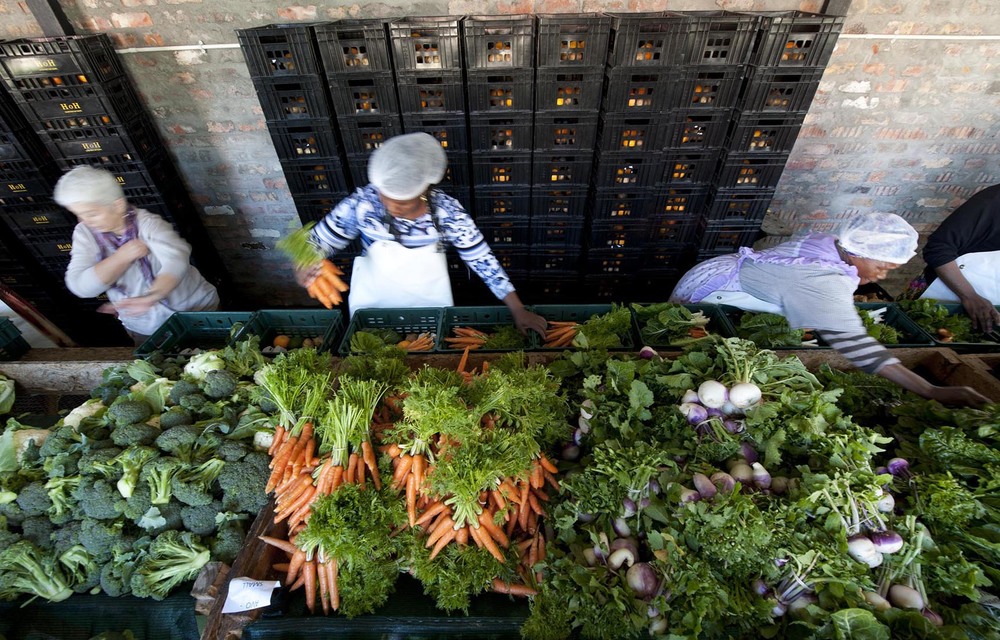 Fresh produce being sorted into boxes for dsitribution