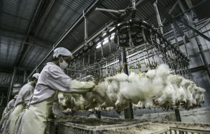 Food price inflation should stay at comfortable levels this year