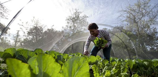 Food insecurity is a global problem